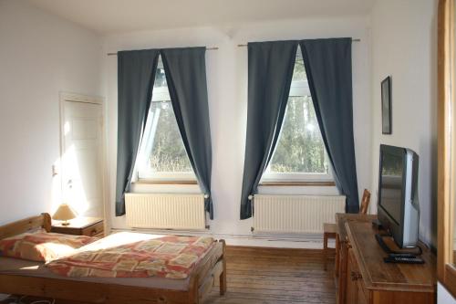 a bedroom with two windows and a bed and a television at Paschen Monteurzimmer 