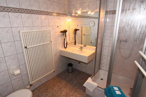 ein Badezimmer mit einem Waschbecken, einem WC und einem Spiegel in der Unterkunft Hotel Wenzels Hof in Zwethau