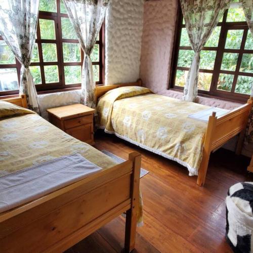 2 Betten in einem Zimmer mit Fenstern und Holzböden in der Unterkunft El Colibrí Azul in Quito