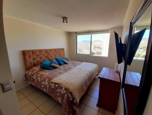 a bedroom with a bed with blue pillows and a window at Condominio Don Lorenzo in Coquimbo