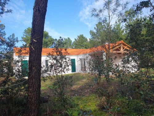 uma casa com um telhado laranja na floresta em Maison bord de mer - la Tranche sur mer em La Tranche-sur-Mer