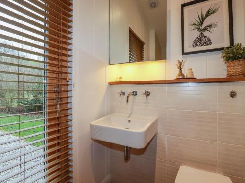a bathroom with a sink and a mirror at 1 Streamside in Looe