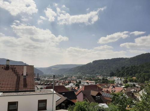 Blick auf eine Stadt mit Bergen im Hintergrund in der Unterkunft Ferienwohnung mit Neckarblick in Eberbach