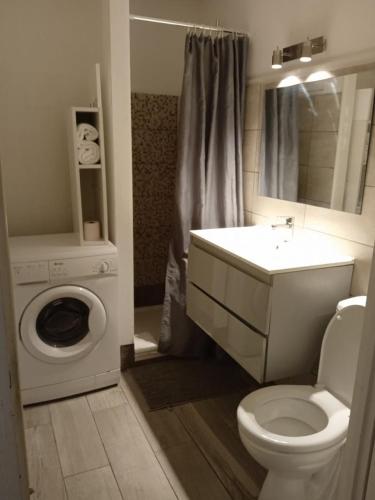 une salle de bain avec toilettes et lavabo et une machine à laver dans l'établissement Jolie T2 - très grande terrasse, à Thonon-les-Bains