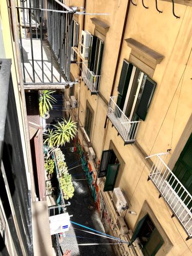 La casa di Nelly Boutique Apartment Napoli photo 74
