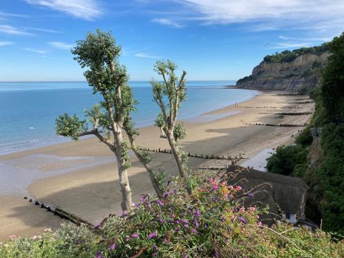 two trees on a beach near the water at 4 The Bayhouse in Shanklin