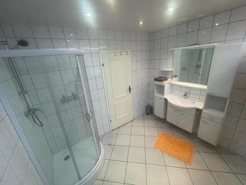 a bathroom with a shower and a sink and a toilet at Ferienwohnung am Seebach´l in Bayerisch Eisenstein