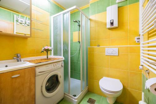 La salle de bains est pourvue de toilettes et d'un lave-linge. dans l'établissement Riversound, à Kranjska Gora