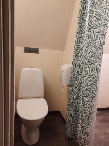 a bathroom with a toilet and a shower curtain at KvarnDammens Bed & Breakfast in Vetlanda