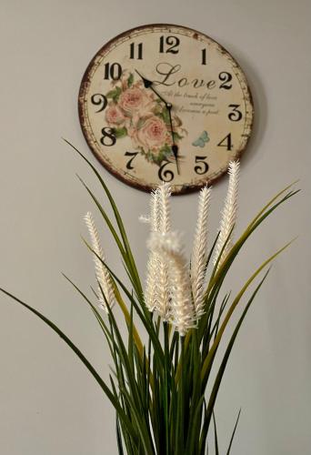 a clock hanging on a wall next to a plant at Sunny apartment 1 in Serres