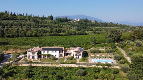 Casa Olivi Apartments photo 3