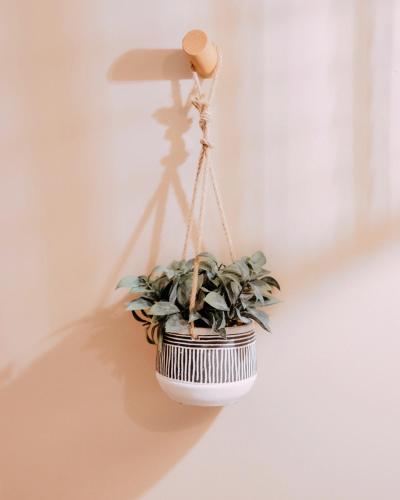 a plant in a hanging pot on a wall at Leeds getaway with hot tub & gaming room in Wakefield