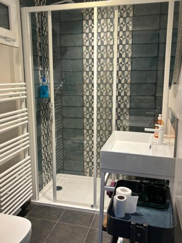 une salle de bain avec une douche avec un lavabo et des toilettes dans l'établissement Isis vue mer, à Douarnenez