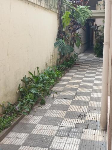 uma passagem com plantas ao lado de um edifício em Casa grande y céntrica em San Miguel de Tucumán