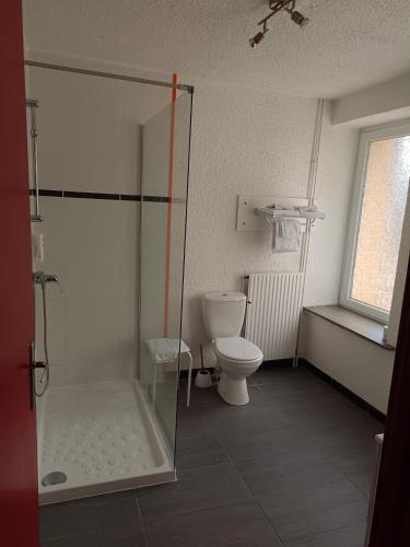a bathroom with a toilet and a glass shower at Cit'Hotel du Tigre in Verdun