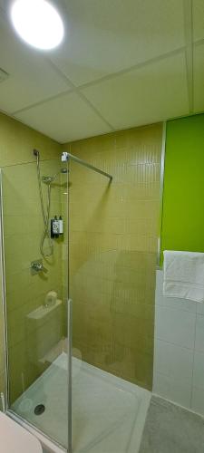 a shower with a glass door in a bathroom at Nest Style Granada in Granada