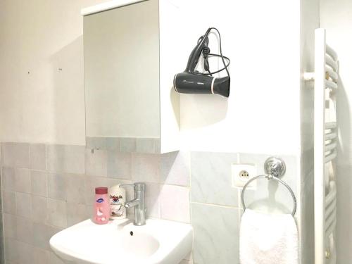 a bathroom with a sink and a mirror at Studio avec jardin clos et wifi a Pontault Combault in Pontault-Combault