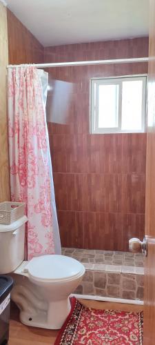 y baño con aseo y cortina de ducha. en Cabaña con tinaja El Arrayán, en Lago Ranco