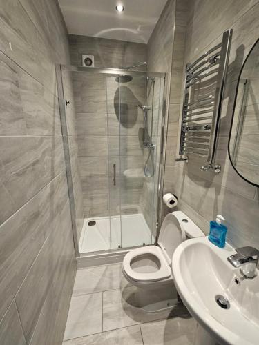 a bathroom with a shower and a toilet and a sink at Tudor Road House in Leicester