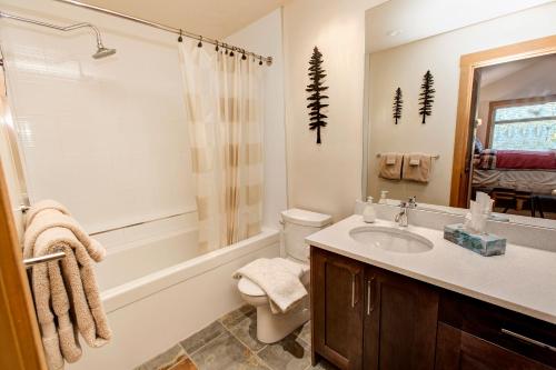 uma casa de banho com um WC, um lavatório e um chuveiro em Mountain Star em Whistler