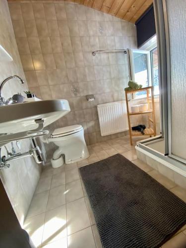 ザンクト・マルティン・アム・テンネンゲビルゲにあるAlpenchalet Basecamp Apartment 2のバスルーム(トイレ、洗面台、シャワー付)