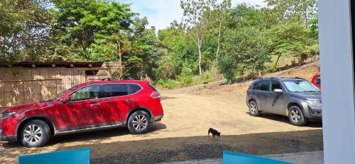 two cars parked on a dirt road next to a cat at Ayampe Kachalotes, Beach house, The best view in Ayampe