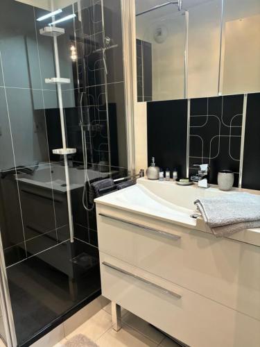 une salle de bain avec une douche, un lavabo et une baignoire dans l'établissement Appartement T3 4 personnes avec Jardin, à Argenteuil