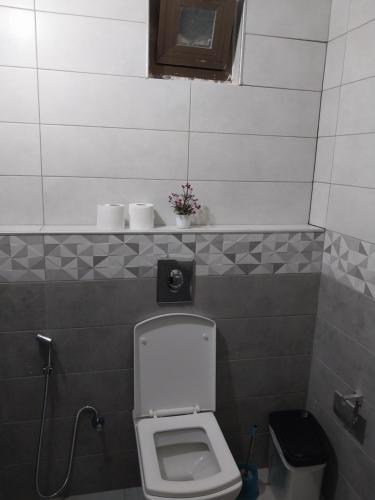 a small bathroom with a toilet and a sink at Tala DeadSea Villa in Sowayma