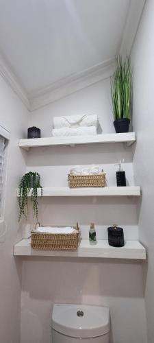 a bathroom with white shelves above a toilet at Three Little Birds Guesthouse in Durban