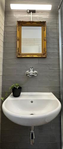 a bathroom sink with a mirror and a potted plant at Morava 305 Uherské Hradiště Šafaříkova 855 in Uherské Hradiště