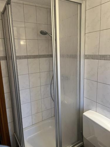 a shower with a glass door in a bathroom at Hotel InselGlück - Restaurant & Cafè in Lohme