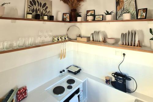 olive house cozy studio