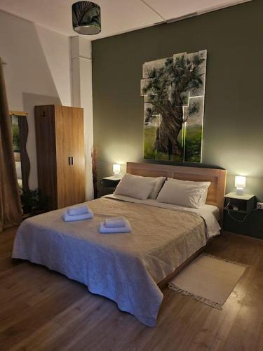 olive house cozy studio