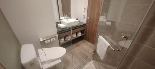 a bathroom with a toilet and a sink at FUJITAYA Querétaro in Querétaro