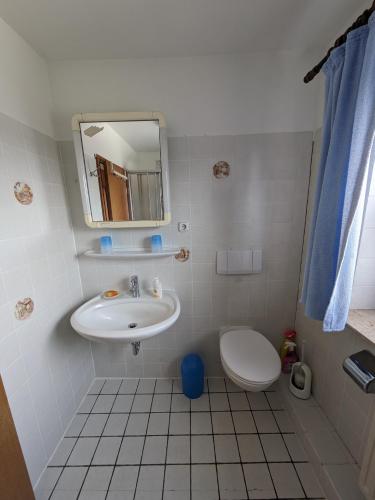 ein Badezimmer mit einem Waschbecken, einem WC und einem Spiegel in der Unterkunft Ferienwohnung Blumenweg in Büchen