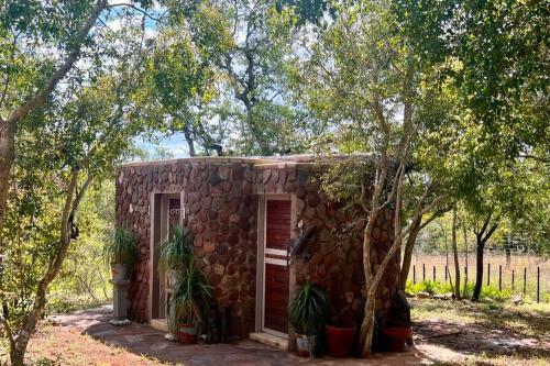 Κήπος έξω από το Rockey Mountain Bush lodge