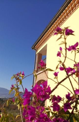 a building with purple flowers in front of it at Le tre cime in Baranello