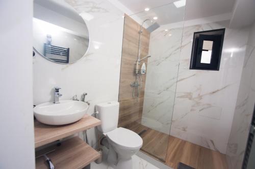uma casa de banho com um WC, um lavatório e um chuveiro em DENTA SUPORT HOTEL em Râmnicu Vâlcea