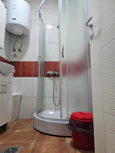 una doccia con una porta in vetro in un bagno di Apartmani Borko 3-1 a Loznica