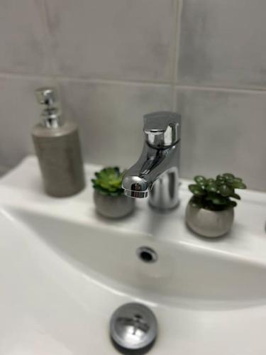 a bathroom sink with a faucet and plants on it at Άνετο διαμέρισμα στο κέντρο της πόλης in Aegina Town