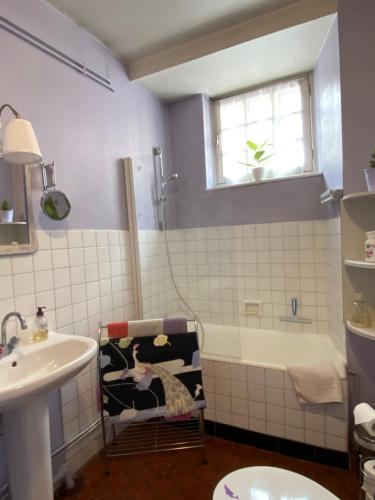a bathroom with a sink and a shower and a toilet at CHEZ VOUS... à La CHANOINERIE in Brioude