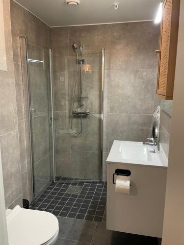uma casa de banho com um chuveiro, um WC e um lavatório. em Helt ny leilighet em Leknes