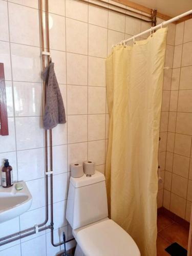 a bathroom with a toilet and a shower and a sink at Bo på lantgård in Motala