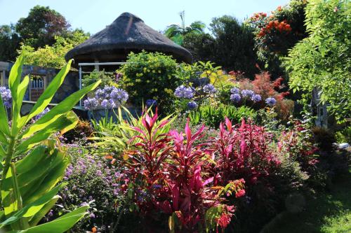 Un jardín fuera de Villa Les Jacarandas