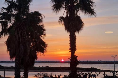 Logis des Palmiers YourHostHelper