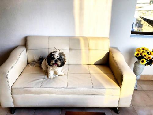 a dog sitting on a couch in a living room at Casa Río donde guardamos un secreto encantador in Montería