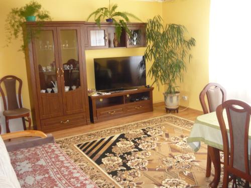 ein Wohnzimmer mit einem TV, einem Tisch und Stühlen in der Unterkunft U Agi in Nowogród