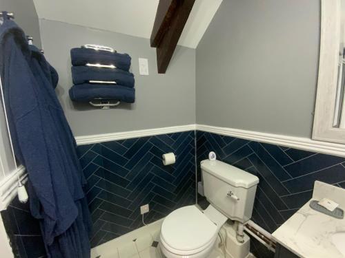La salle de bains est pourvue de toilettes et d'une serviette bleue. dans l'établissement Foxglove Barn, à South Brent