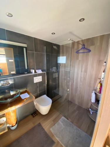 a bathroom with a shower and a toilet and a sink at Petit chalet in Nernier