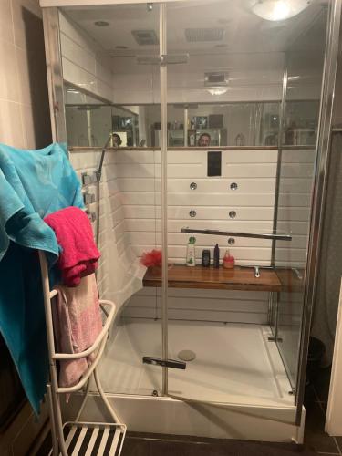 a shower with a glass door in a bathroom at Chambre verte spacieuse côté aéroport in Pusignan